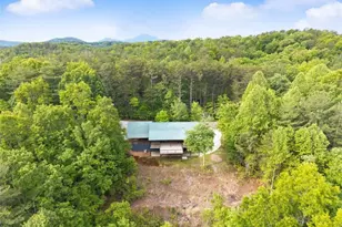 707 S Fern Cove Road S, Sautee Nacoochee, GA 30571 - Photo 53