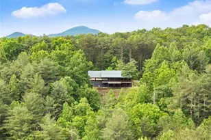 707 S Fern Cove Road S, Sautee Nacoochee, GA 30571 - Photo 59