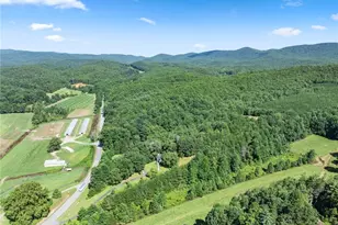 9724 Elliott Family Pkwy, Dawsonville, GA 30534 - Photo 51