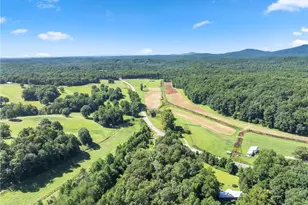 9724 Elliott Family Pkwy, Dawsonville, GA 30534 - Photo 55