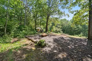 9724 Elliott Family Pkwy, Dawsonville, GA 30534 - Photo 49