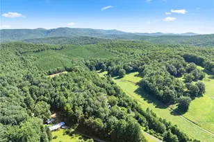 9724 Elliott Family Pkwy, Dawsonville, GA 30534 - Photo 53