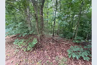 4131 Tribble Road, Cumming, GA 30028 - Photo 19
