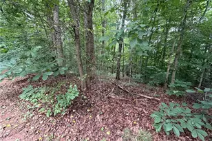 4131 Tribble Rd, Cumming, GA 30028 - Photo 19