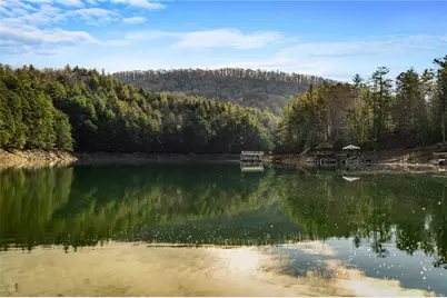 770 Fish Hook Point, Blue Ridge, GA 30513 - Photo 77
