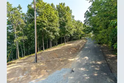 294 Adair Drive NE, Ranger, GA 30734 - Photo 7