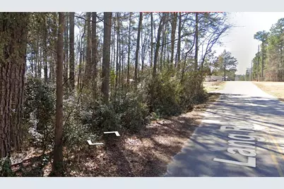 0 Lang Road, Covington, GA 30044 - Photo 3