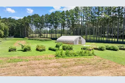 7655 Old Phillips Road, Chattahoochee Hills, GA 30268 - Photo 9
