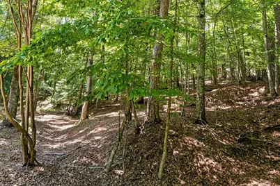 1247 Newport Drive, Ellijay, GA 30540 - Photo 29