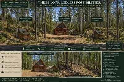 1247 Newport Drive, Ellijay, GA 30540 - Photo 3