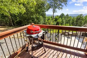 832 Scenic Mountain View Rd, Blue Ridge, GA 30513 - Photo 39