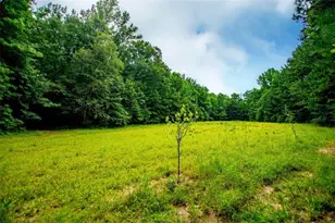 4624 Jacksonville Rd, Tallapoosa, GA 30176 - Photo 47