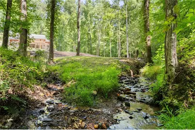 189 Peace Valley Road, Dahlonega, GA 30533 - Photo 33