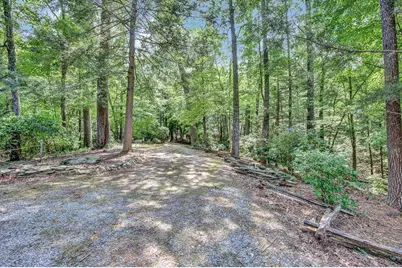 450 Flat Creek Circle, Blue Ridge, GA 30513 - Photo 101