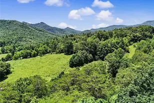 1624 Bettys Creek, Rabun Gap, GA 30568 - Photo 3