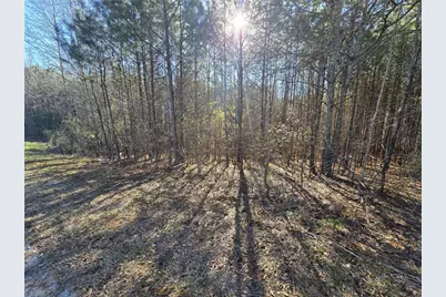 58 Wilton Smith Road, Temple, GA 30179 - Photo 11