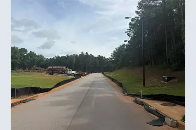 0 Wisteria Lane, Williamson, GA 30292 - Photo 3