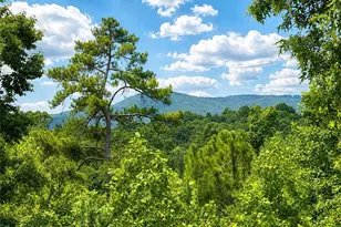 1046 Crossroads Church Rd, Ellijay, GA 30540 - Photo 55