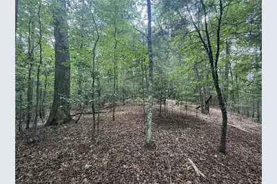 0 Yahoola Indian Trail, Dahlonega, GA 30533 - Photo 15