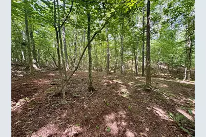 Lot 5 Fowler Creek Drive, Cleveland, GA 30528 - Photo 47