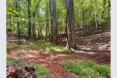 Lot 5 Fowler Creek Drive, Cleveland, GA 30528 - Photo 31