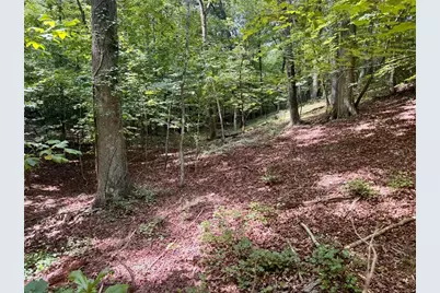 Lot 5 Fowler Creek Drive, Cleveland, GA 30528 - Photo 23