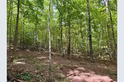 Lot 5 Fowler Creek Drive, Cleveland, GA 30528 - Photo 35