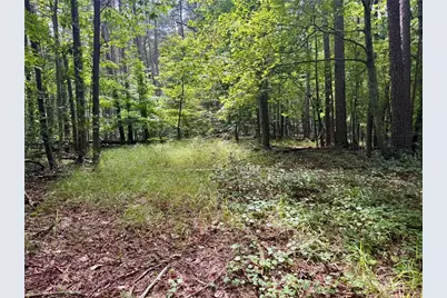Lot 5 Fowler Creek Drive, Cleveland, GA 30528 - Photo 25