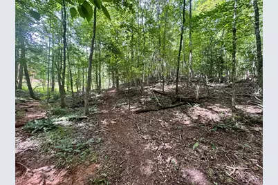 Lot 5 Fowler Creek Drive, Cleveland, GA 30528 - Photo 41
