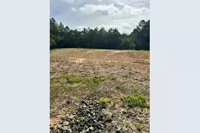 389 Timothy Drive, Dallas, GA 30132 - Photo 13