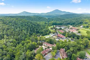 327 Brucken Strasse, Helen, GA 30545 - Photo 59