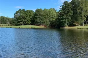 1145 Brittany Way, Fayetteville, GA 30214 - Photo 39