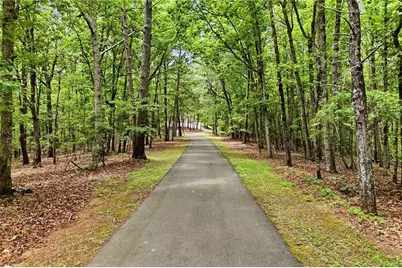 116 Hidden Cove Drive, Ball Ground, GA 30107 - Photo 3