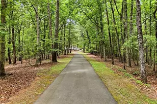 116 Hidden Cove Dr, Ball Ground, GA 30107 - Photo 3