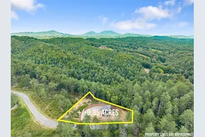 184 Mountain Laurel Ridge, Mineral Bluff, GA 30559 - Photo 25