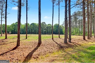 1110 Locklin Road, Monroe, GA 30655 - Photo 7
