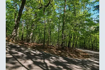 1095 McElroy Mountain Drive, Big Canoe, GA 30143 - Photo 7