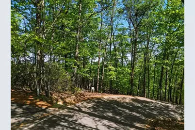 1095 McElroy Mountain Drive, Big Canoe, GA 30143 - Photo 5