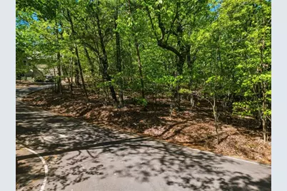 1095 McElroy Mountain Drive, Big Canoe, GA 30143 - Photo 3