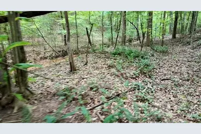 6260 White Mill Road, Fairburn, GA 30213 - Photo 5