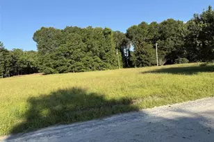 171 Kelley Rd, Brooks, GA 30205 - Photo 5
