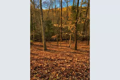 Lot730 Dawn Lane, Ellijay, GA 30540 - Photo 13