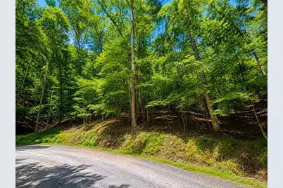Lot730 Dawn Lane, Ellijay, GA 30540 - Photo 11