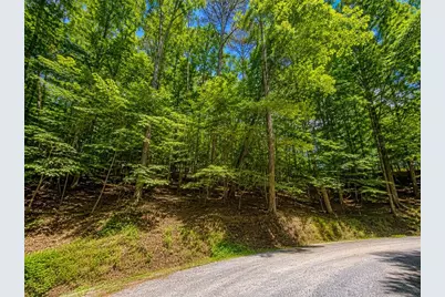 Lot730 Dawn Lane, Ellijay, GA 30540 - Photo 9