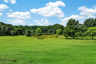 14155 Hwy 106, Carnesville, GA 30521 - Photo 43