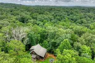 232 Ridge Oaks Wy, Ellijay, GA 30540 - Photo 39