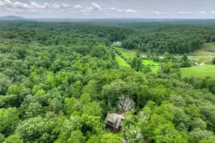 232 Ridge Oaks Wy, Ellijay, GA 30540 - Photo 41