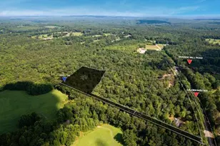 7824 Georgia Hwy 100, Buchanan, GA 30113 - Photo 37