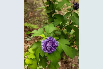 [Address not provided], Tucker, GA 30084 - Photo 41