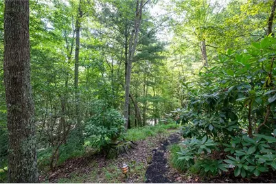 270 Buckskull Hollow Drive, Big Canoe, GA 30143 - Photo 39